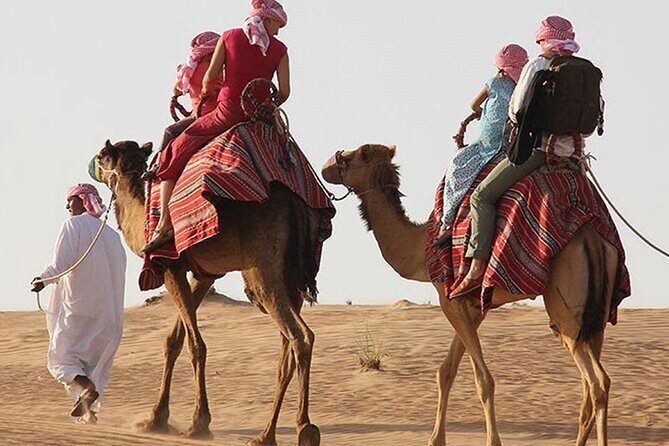 Private 4Hour Desert Adventure: Dune Bashing, Camel Ride & Photos - Falcon photos: the memorable oddball moment