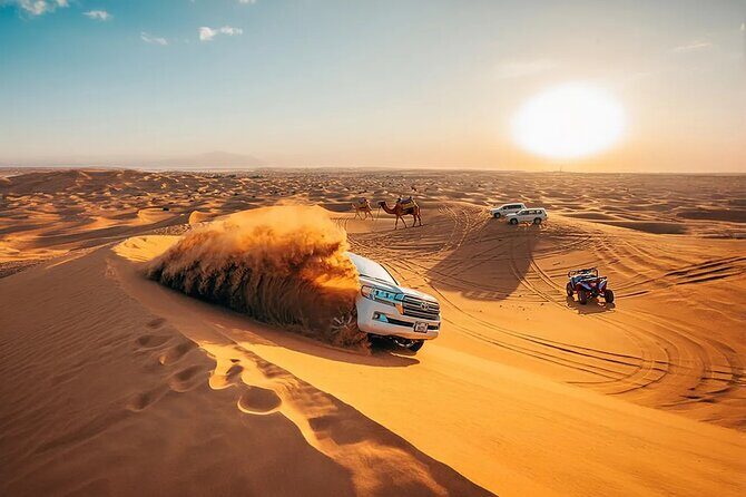 Private 4Hours Red Dunes Safari Camel Ride ,Falcon & Dune Thrills - Camel ride for 10 minutes: classic desert tradition, no waiting game