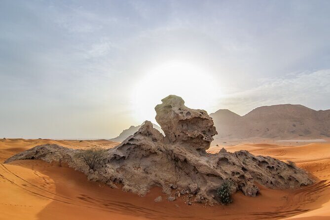 Private 4x4 Desert Drive, Wadi Shawaka Pool Visit with Lunch box - Sand boarding and dune bashing: the thrill, with the safety basics