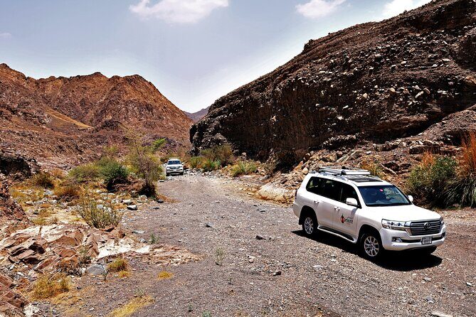 Private 4x4 Desert Drive, Wadi Shawaka Pool Visit with Lunch box - Camel Rock, Fossil Rock, and the mountain-safari feeling