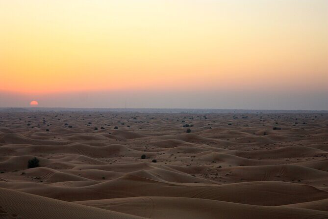 Private 4x4 For Sundowner Desert Safari - Should you book this private sundowner desert safari?