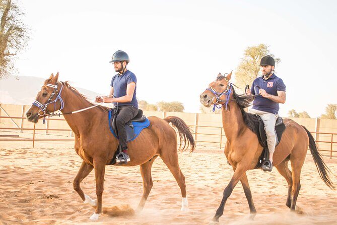 Private 4x4 Mleiha Desert Safari Horse Riding with Museum Visit - Key highlights worth knowing