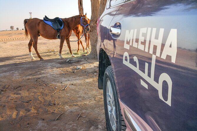 Private 4x4 Mleiha Desert Safari Horse Riding with Museum Visit - Camel Rock and Fossil Rock: the photo stop that turns into a lesson