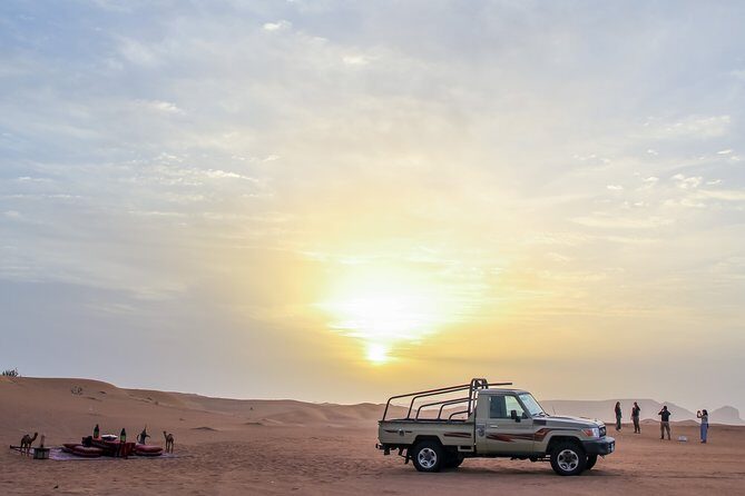 Private 4x4 Sunrise and Wildlife Experience in the Desert - Conservation reserve wildlife: desert gazelle and Arabian oryx potential
