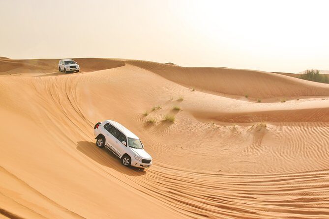 Private Abu Dhabi Evening Desert Safari (Exclusive) - Falcon Photo and Local Photos: Fun Extras, Subject to Availability