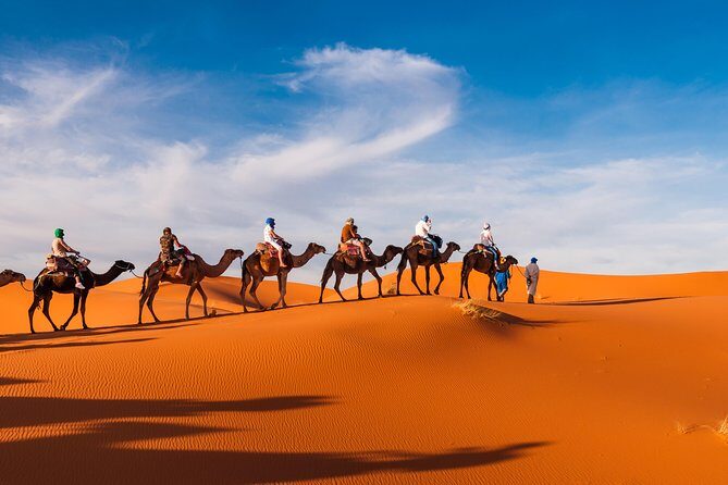 Private Abu Dhabi Evening Desert Safari (Exclusive) - Dinner in the Desert: Comfort Food With a Good Setting