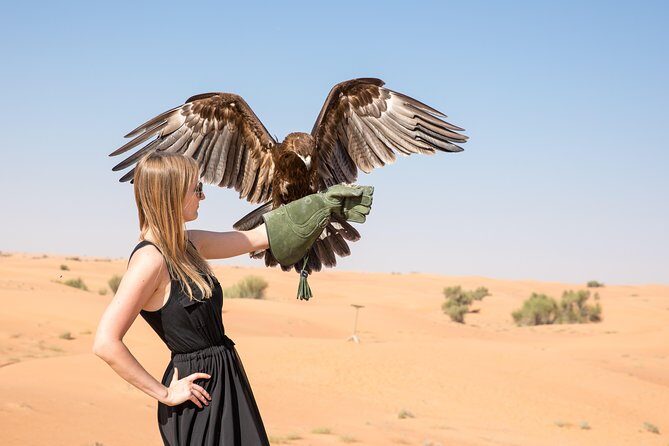 Private Abu Dhabi Evening Desert Safari (Exclusive) - Dune Bashing and Sand Boarding: The Adrenaline Section