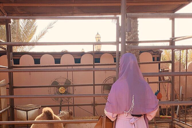 Private Abu Dhabi Half Day City Tour - Stop 6: Qasr Al Watan (UAE culture and the idea of knowledge)