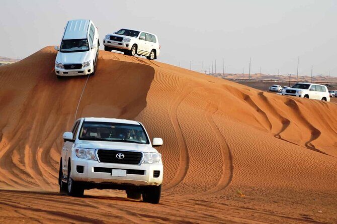 Private Adventure Red Dune Desert Safari With BBQ Dinner & Shows - Key Highlights You’ll Actually Care About