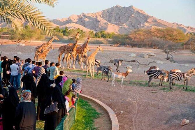 Private Al Ain Tour by 4x4 Vehicle with Zoo Tickets - Key Highlights You’ll Actually Feel During the Day