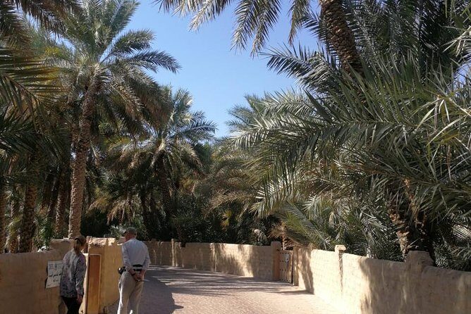Private Al Ain tour from Dubai with professional Driver - Price and what $255 gets you (and when it’s worth it)