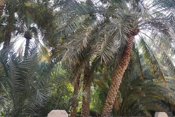 Private Al Ain tour from Dubai with professional Driver - Stop 5: Bawadi Mall Fun City July 2012 stop for lunch break (about 1 hour)