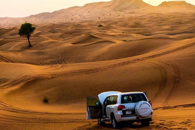 Private Desert Excursion with camel ride Sandboard & BBQ Dinner - Camel ride and sandboarding: the two activities most people remember