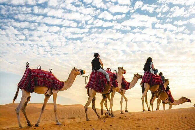 Private Desert Excursion with camel ride Sandboard & BBQ Dinner - Al Awir at sunset: BBQ dinner with Arabic music shows