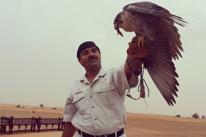 Private Desert Safari Dubai - Morning Option vs Afternoon/Evening Option: Choose Your Desert Mood