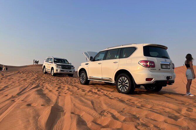 Private Desert Safari Dubai with BBQ Dinner - Falcon display and the camp rhythm before sunset