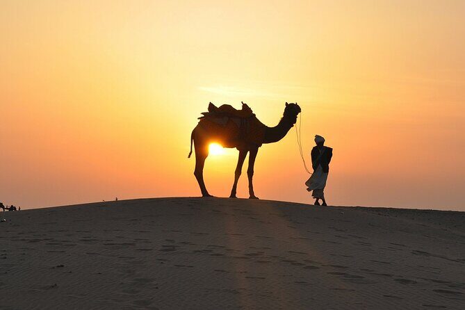 Private Desert Safari Dubai with BBQ Dinner and Belly Dance - Price and logistics: is $417.15 per person good value?