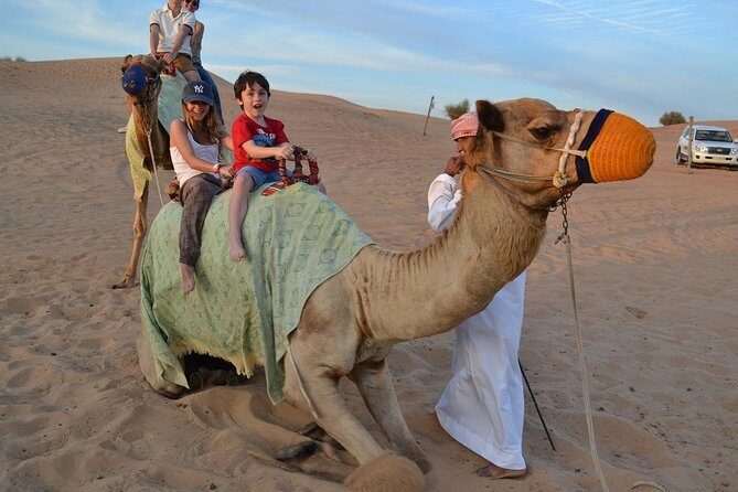 Private Desert Safari From Dubai: Including Buffet Dinner and Live Entertainment - What a private 6-hour desert safari night looks like from pickup to drop-off