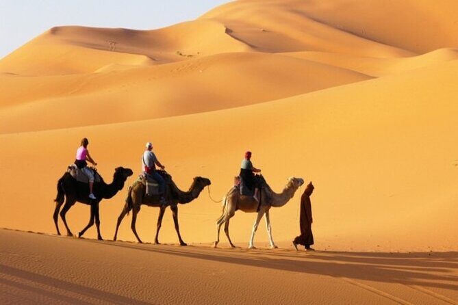 Private Desert Safari in Dubai with Pickup - Luxury 4x4 Dune Bashing: Thrills Without the Whole-Body Punishment