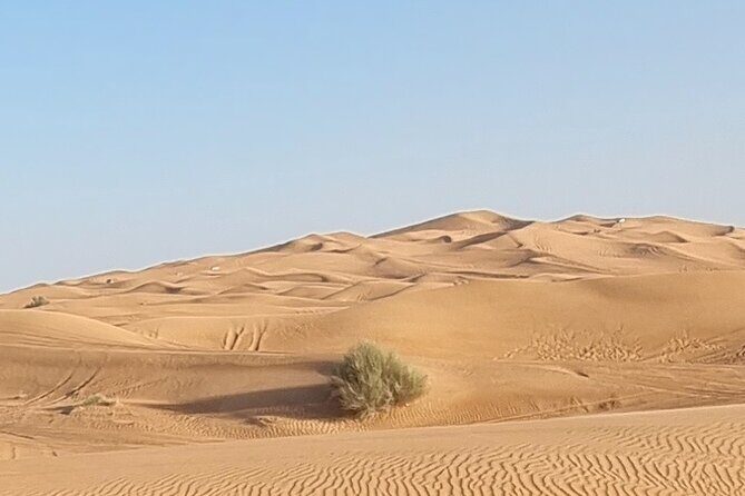 Private Desert Safari in Dubai with Pickup - Optional Quad Bikes and Buggy Rides: Decide Early