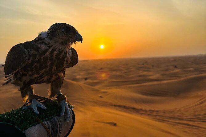 Private Desert Safari with ATV Quad Bike - Bedouin Camp Time: Sweets, Shisha, Henna, Camel Riding