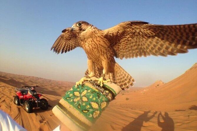 Private Desert Safari with Dune Bashing and Sandboarding - Optional quad or ATV: fun add-ons with a budget check