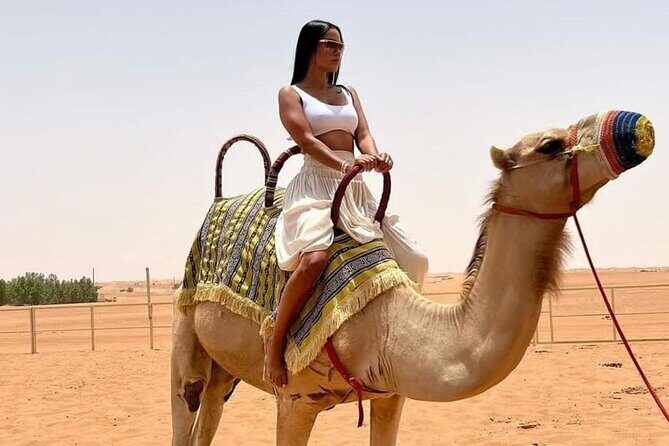 Private Desert Safari with Dune Bashing and Sandboarding - Price and value: is $250 per group worth it?