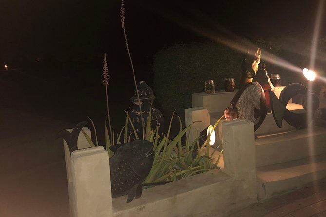 Private Desert Safari with Premium camp - Dune Bash, Photo Stops, and the Sunset Advantage