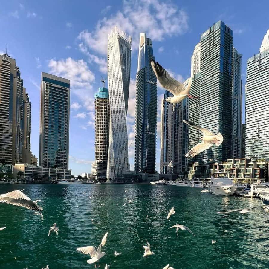 Private Dubai CityTour with Miracle Garden or Global Village - Palm Jumeirah and the Waterfront String: The Pointe, Dubai Marina Walk, and Bluewaters Island