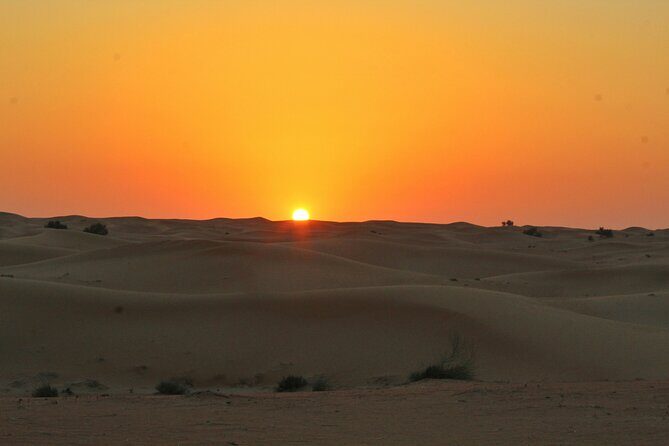 Private Dubai Day Tour: Multiple Options, Including Sharing - Desert Safari with BBQ dinner: dune bashing, camp culture, and included shows