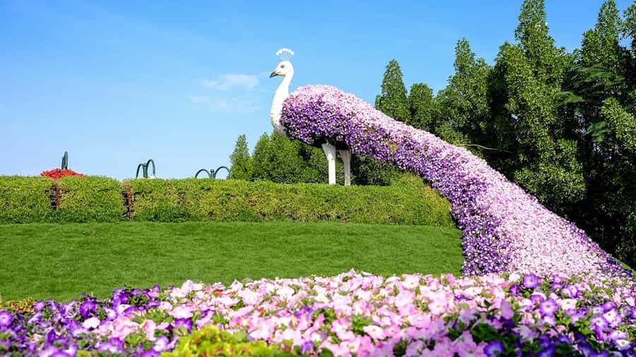 Private Dubai Frame & Miracle Garden Trip with Transfer - Dubai Frame and the 150-meter view: the fastest way to understand the city