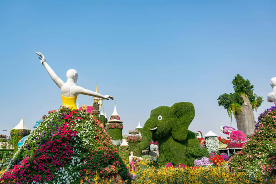 Private Dubai Frame & Miracle Garden Trip with Transfer - What your 5–8 hour day really looks like