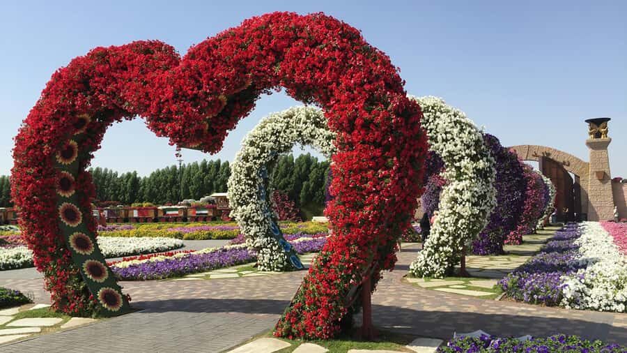 Private Dubai Frame & Miracle Garden Trip with Transfer - Small details that make or break the experience