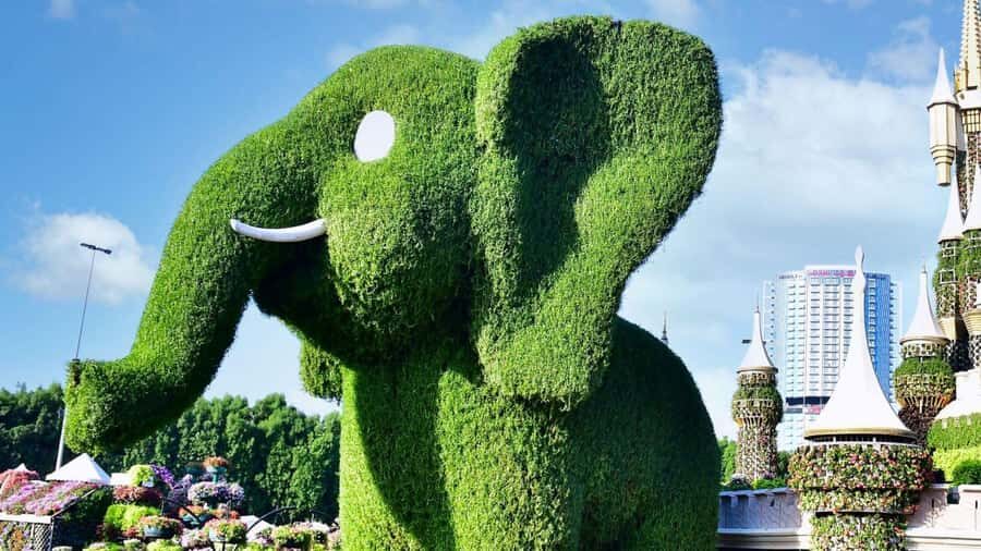 Private Dubai Frame & Miracle Garden Trip with Transfer - Should you book Dubai Frame and Miracle Garden with transfer?