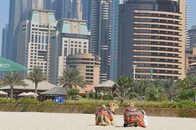 Private : Dubai Full Day City Sightseeing Tour - Dubai Gold Souk: the stop that actually slows you down
