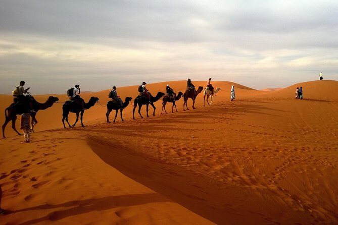 Private Evening Desert Safari with BBQ dinner - Sunset Logistics: Why the 2:00 pm Start Works