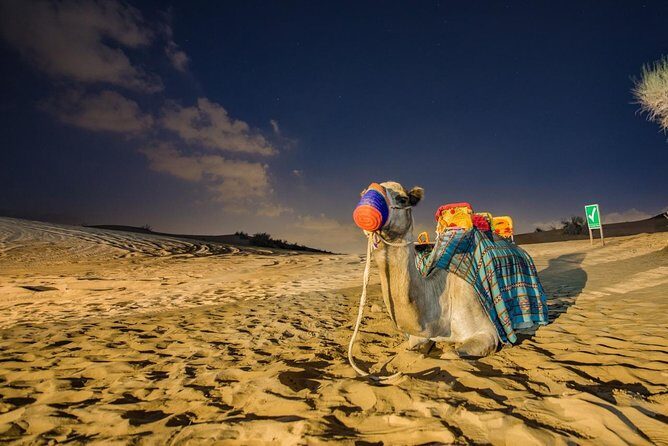 Private Evening Desert Safari with BBQ Dinner Dubai - Why this private Lahbab evening safari is a smart pick