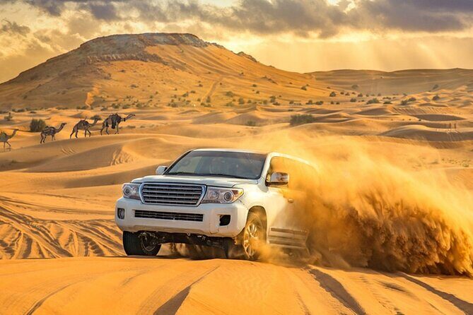 Private Evening Desert Safari with BBQ Dinner Dubai - Sandboarding and the short camel ride stop