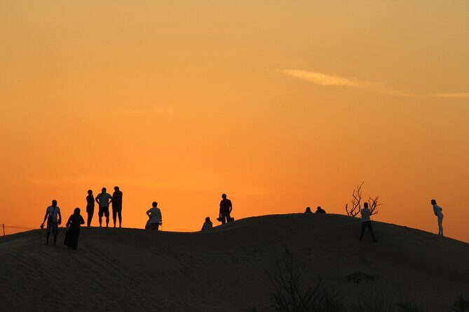 Private Evening Desert Safari with BBQ Dinner Sand Boarding - Who this safari suits best (and who might feel let down)