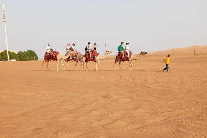 Private - Evening Desert Safari with Camel Ride, BBQ Dinner and Belly Dacne - Belly dance, fire show, and Tanura: how the night ramps up