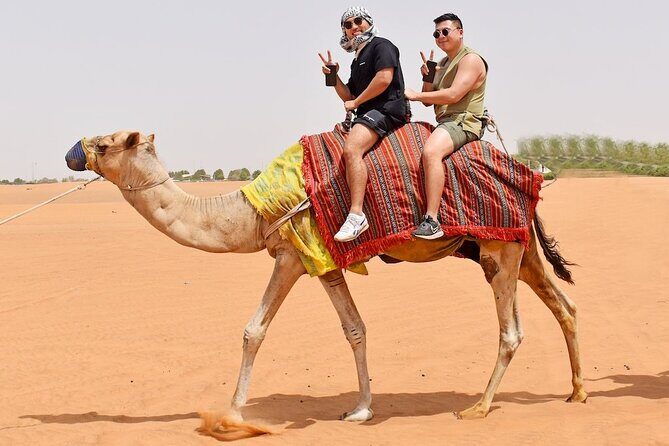 Private Evening Desert Safari with Camel Ride, SandBoard & BBQ - Who Should Book This Private Evening Desert Safari?