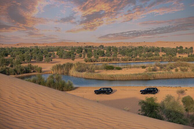 Private Falconry Experience and Nature Desert Safari in Dubai - Watching the Falconry Display Like a Pro