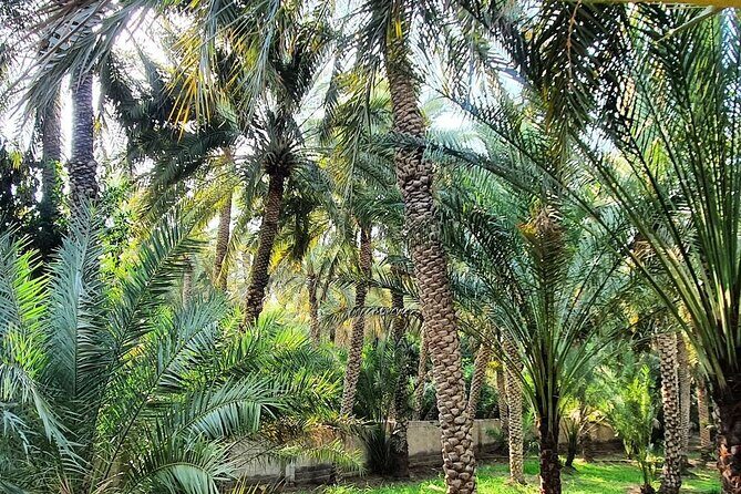 Private Full Day Al Ain City Tour - Private pickup and the realistic 8-hour schedule