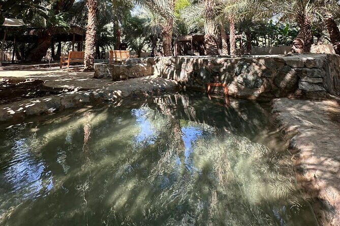 Private Full Day Hatta Visit Dam Heritage Village Lake - Lunch Time in Hatta: Plan Your Own Meal