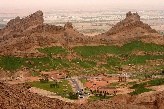 Private Garden City Tour with Zoo Ticket at Al Ain - Stop 1: Al Ain Zoo and the giraffe-and-lemur moments