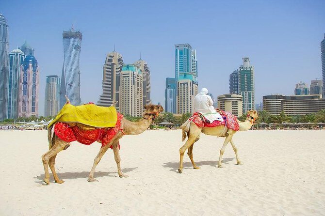 Private Half Day Modern Dubai City tour with Lunch - Lunch on the tour: included, but don’t assume the exact style