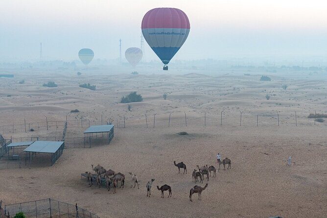 Private Hot Air Balloon Tour over the Dubai Desert - Price and value for a private group (up to 6)