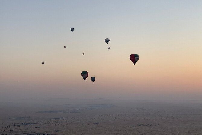 Private Hot Air Balloon Tour over the Dubai Desert - Wildlife spotting: Arabian oryx and sand gazelle (how to think about it)