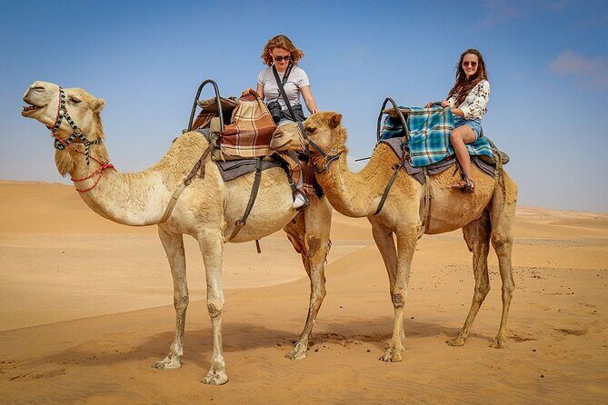 Private Morning Desert Adventure: Sandboarding & Camel Ride - The private morning pickup: when the desert starts feeling real
