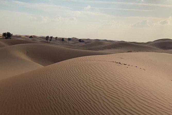 Private Morning Desert Safari Adventures with ATV Quad Bike and Camel Rides - ATV quad bike time: the thrill you’ll likely remember